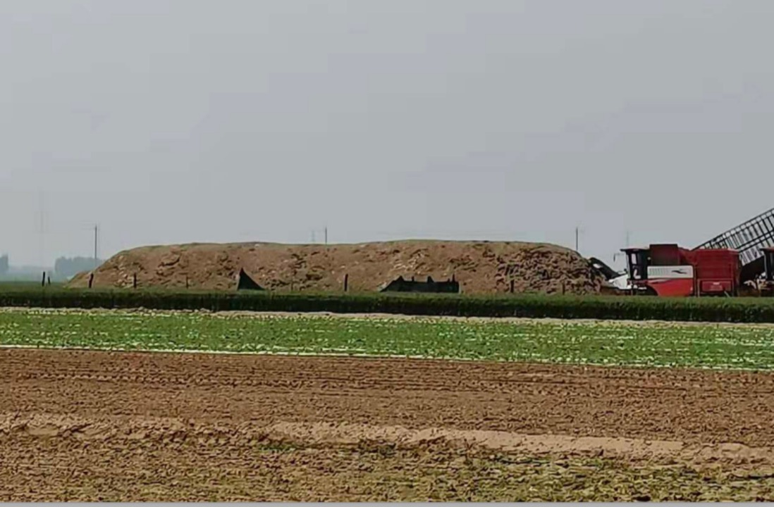 因為信任,甘當鄭州中聯(lián)排頭兵