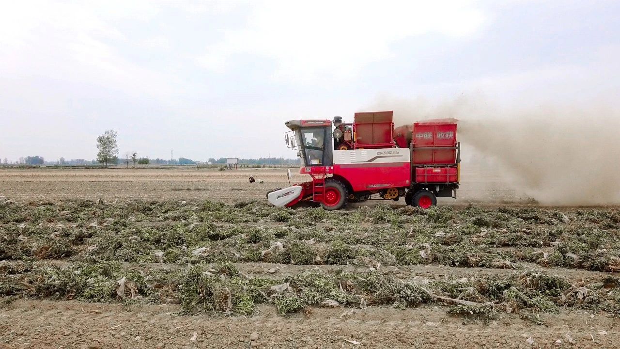 唐山豐南區(qū)王峰：故障少，馬力大，每天140畝，中聯(lián)收獲H6花生機(jī)真不錯(cuò)(圖2)