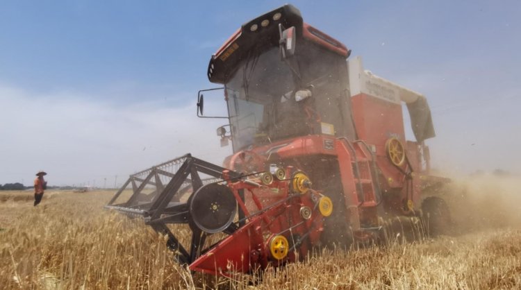 來(lái)自90后經(jīng)銷商的認(rèn)可：從小接觸新疆—2小麥機(jī)，對(duì)中聯(lián)收獲完全認(rèn)可(圖3)