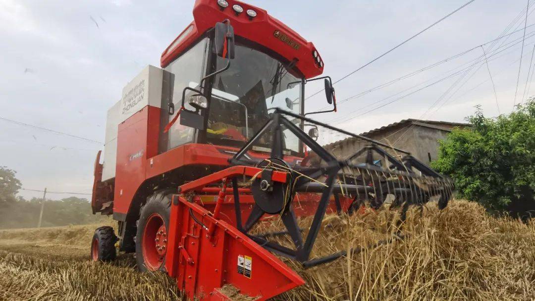 來自保定華師傅的認(rèn)可：從新疆-7到新疆-9，中聯(lián)收獲一直是我中意的品牌(圖2)