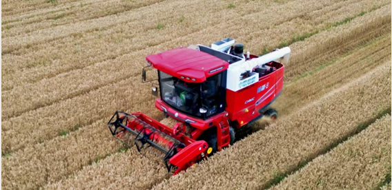 青島平度滿書山:“牛人”開“牛車” 中聯(lián)收獲哪都好 640.png