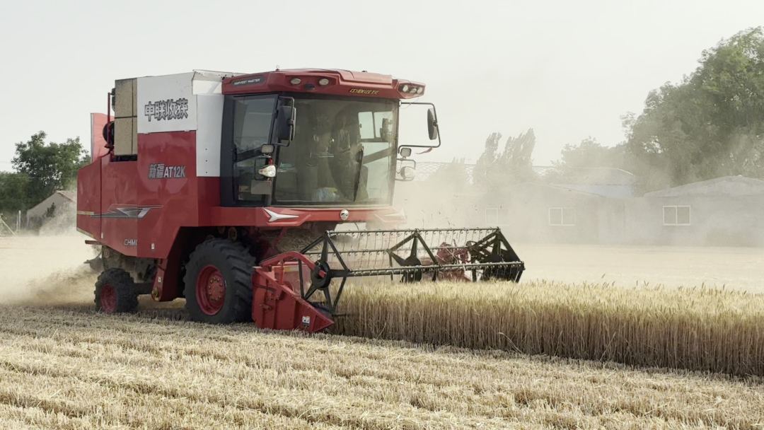30年只做一件事:為什么越來越多農(nóng)機(jī)手認(rèn)準(zhǔn)「中聯(lián)收獲」? 30年只做一件事:為什么越來越多農(nóng)機(jī)手認(rèn)準(zhǔn)「中聯(lián)收獲」?(圖8)